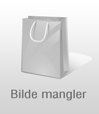 Singelfiber